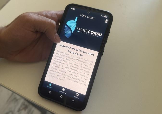 Stella Mare lance une application pour faire des citoyens des acteurs de la science