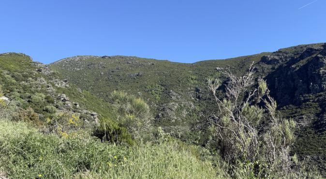 U tempu in Corsica