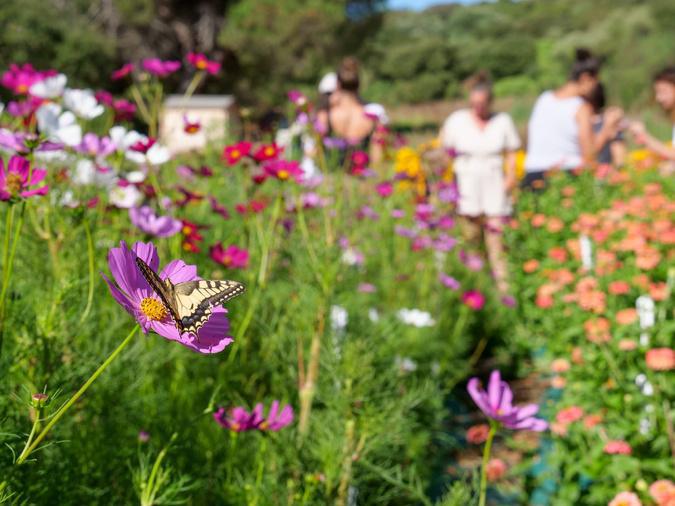 Bioblitz : la CAPA lance son premier inventaire participatif de la biodiversité Bioblitz : la CAPA lance son premier inventaire participatif de la biodiversité