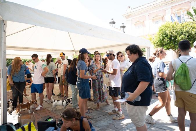 À Ajaccio, une chasse aux mégots où écologie et esprit de compétition font équipe