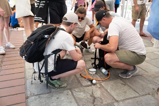 À Ajaccio, une chasse aux mégots où écologie et esprit de compétition font équipe