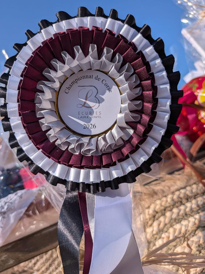 Équitation - Les champions de Corse de dressage sacrés à Lucciana Équitation - Les champions de Corse de dressage sacrés à Lucciana