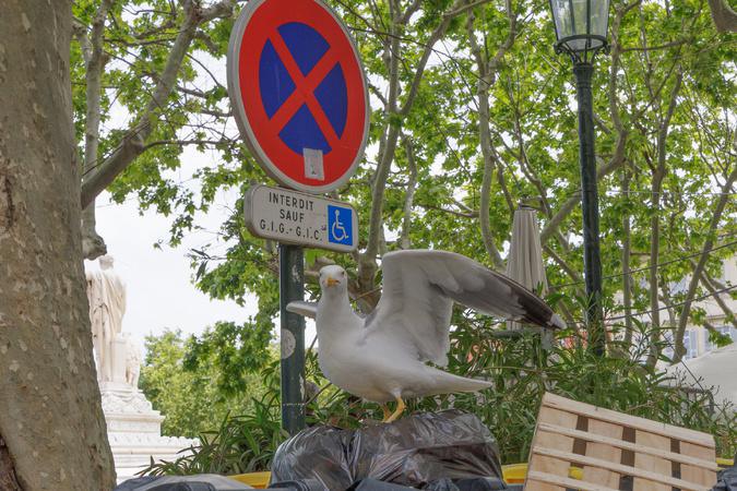 A màghjina - Bastia : interdettu... micca per tutti