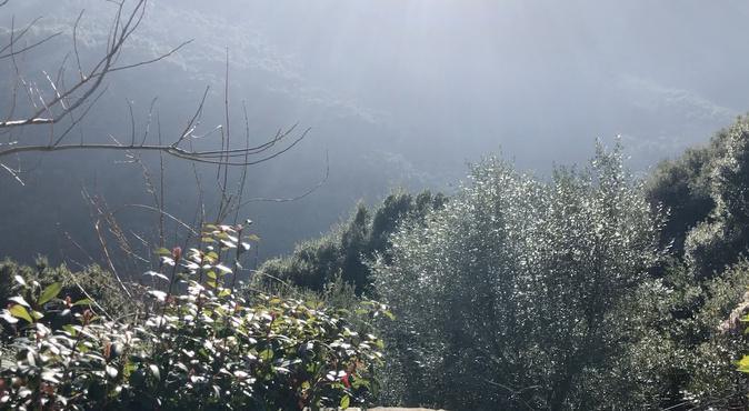 U tempu in Corsica