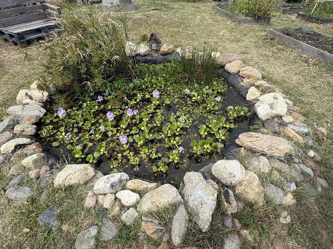 « Rendez-vous au jardin » - Portes ouvertes au jardin pédagogique du collège Campo Vallone de Biguglia