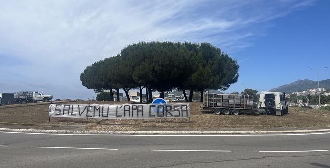 « Nous avons touché le fond » : les apiculteurs corses alertent sur une crise historique et réclament un plan de sauvetage