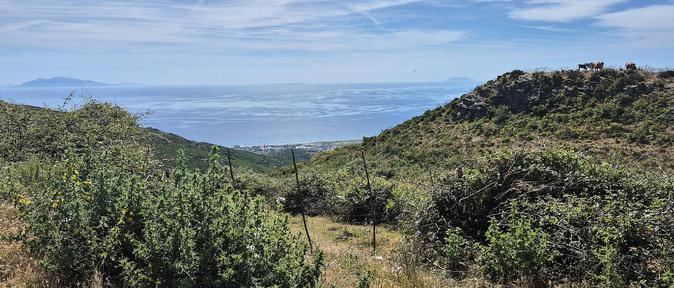 U tempu in Corsica