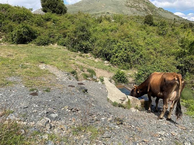 Bustanicu - Des abreuvoirs en montagne pour les animaux Bustanicu - Des abreuvoirs en montagne pour les animaux