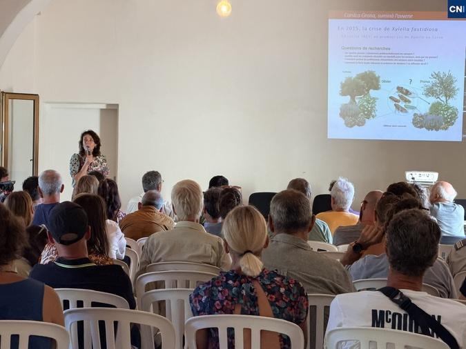 Corsica Grana célèbre dix années d’engagement pour une filière végétale insulaire durable
