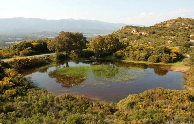 "Nature(s)" : la Tribune des chercheurs réunit doctorants et grand public à Bastia le 2 juillet