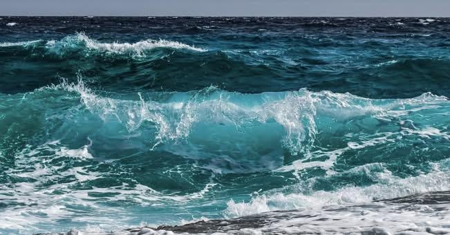 Climat : le nord-ouest de la Méditerranée enregistre une vague de chaleur maritime d'une intensité historique