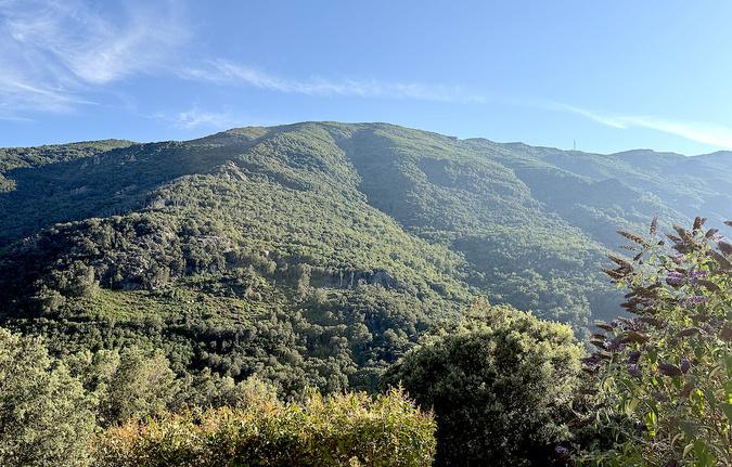 U tempu in Corsica
