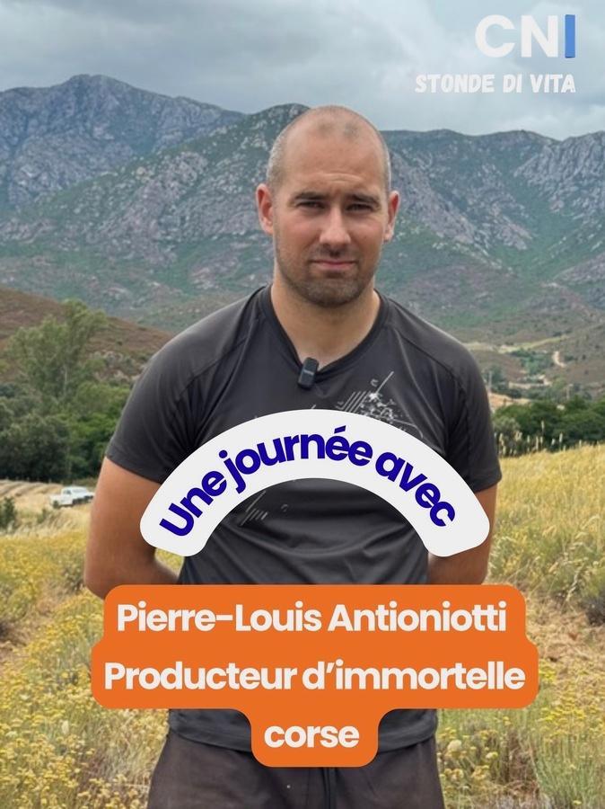 Stonde di vita avec… Pierre-Louis Antoniotti, producteur d’immortelle 