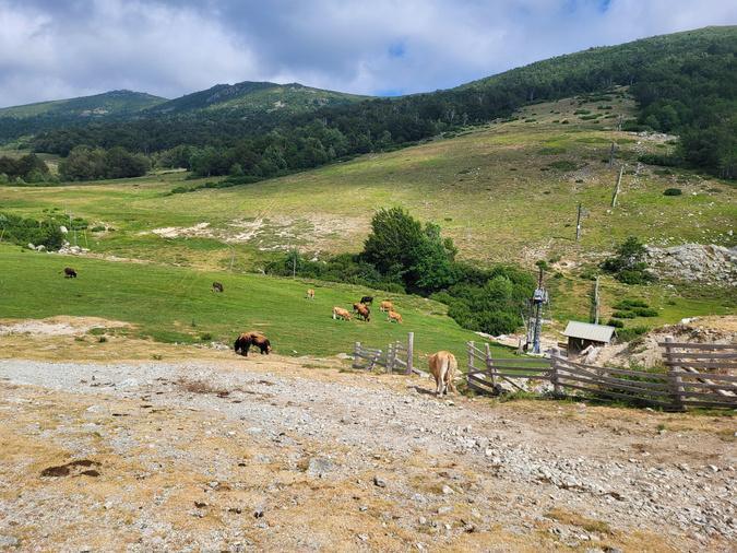 U tempu in Corsica