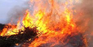 Incendie d'Oletta maîtrisé, les pompiers mobilisés également sur deux départs de feu liés à la foudre à Albertacce