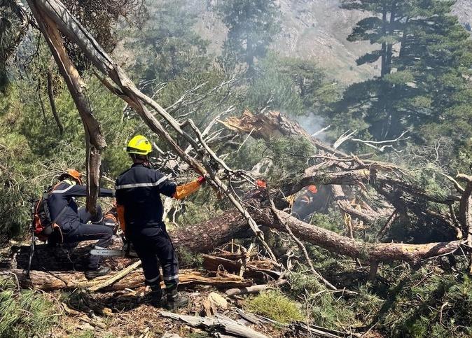 Casamaccioli : face au feu déclenché par la foudre, le remarquable engagement des pompiers commandos Casamaccioli : face au feu déclenché par la foudre, le remarquable engagement des pompiers commandos