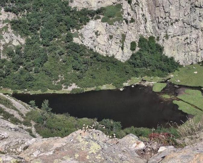 A màghjina - Magnificu lavu di Vitalaca