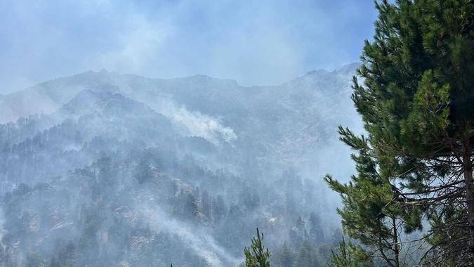 Haute-Corse : la bataille contre les flammes se poursuit à Corte et Albertacce