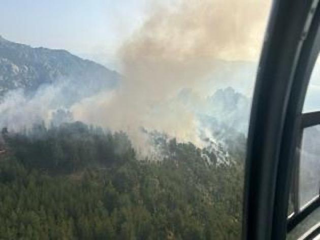 Incendies en Haute-Corse : les foyers d'Albertacce et de Corte sont loin d'être maîtrisés