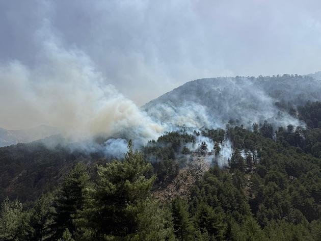 Incendies : la lutte se poursuit à Albertacce et Corte-Restonica