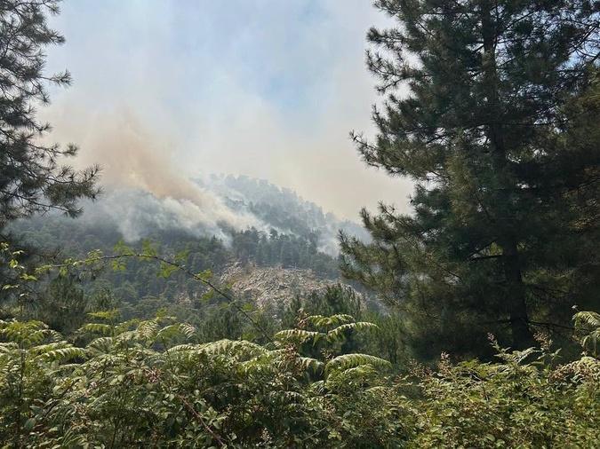 Incendies en Haute-Corse : un important dispositif maintenu et renforcé ce samedi