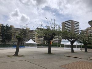 Ajaccio - 11 étages sans ascenseur depuis plus d'une semaine : "une situation dangereuse" Ajaccio - 11 étages sans ascenseur depuis plus d'une semaine : "une situation dangereuse"