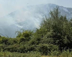 Incendies en Haute-Corse : 480 hectares parcourus, sentiers de randonnée fermés, pompier blessé