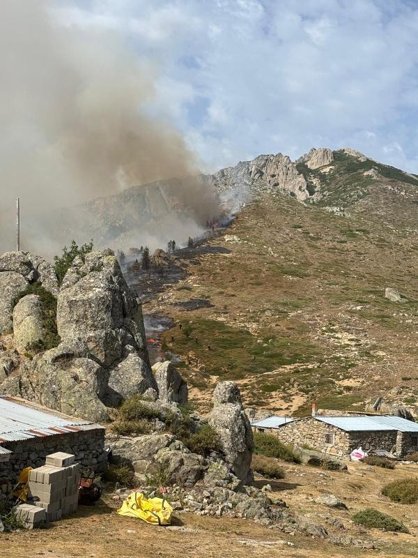 Incendie de la Restonica - L’inquiétude des bergers du plateau d’Alzu