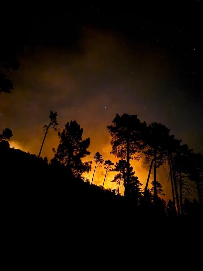 Incendies - La situation se stabilise à Albertacce, lutte intensive toujours en cours dans la Restonica Incendies - La situation se stabilise à Albertacce, lutte intensive toujours en cours dans la Restonica