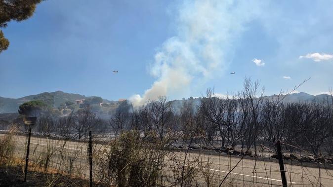 Patrimonio : Dix hectares de maquis parcourus par les flammes