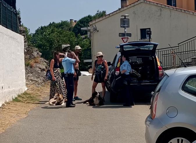 Incendie de la Restonica : Le plan Communal de Sauvegarde déclenché
