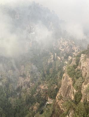 Incendies en Haute-Corse - Le feu fixé à Albertacce, plusieurs foyers toujours actifs à Corte Incendies en Haute-Corse - Le feu fixé à Albertacce, plusieurs foyers toujours actifs à Corte
