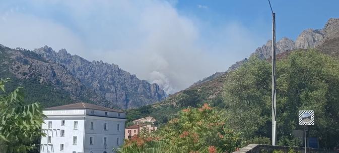Incendies en Haute-Corse : à Corte, le camping de Tuani évacué par précaution Incendies en Haute-Corse : à Corte, le camping de Tuani évacué par précaution