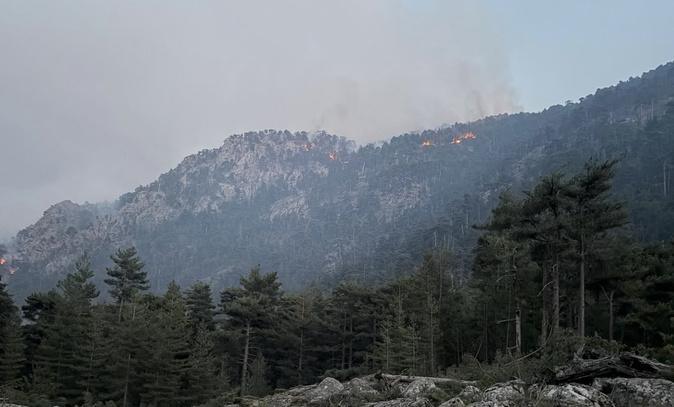 Corte - 300 hommes pour faire face à l'incendie