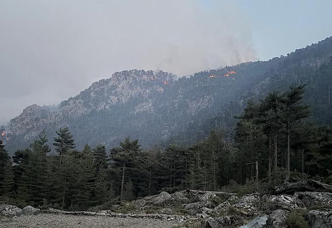 Restonica : le feu a parcouru 900 hectares