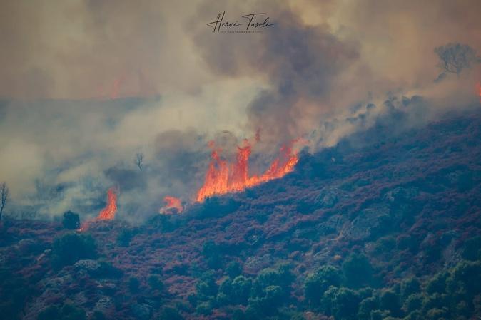 Incendie à Biguglia - 150 hectares parcourus, un important dispositif restera mobilisé toute la nuit Incendie à Biguglia - 150 hectares parcourus, un important dispositif restera mobilisé toute la nuit