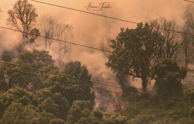 Incendies en Haute-Corse - Plus de 1 000 hectares parcourus à Biguglia et Corte