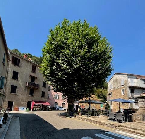 Vivario - Consensus autour du projet de la traverse du village