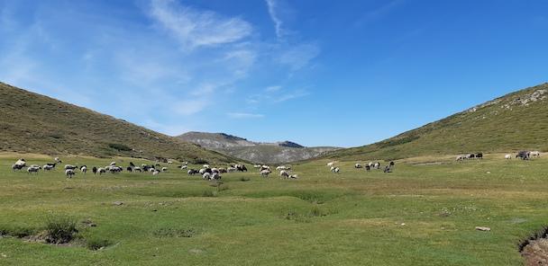 Comité de massif corse : Lutter contre la spéculation et favoriser les territoires de montagne Comité de massif corse : Lutter contre la spéculation et favoriser les territoires de montagne