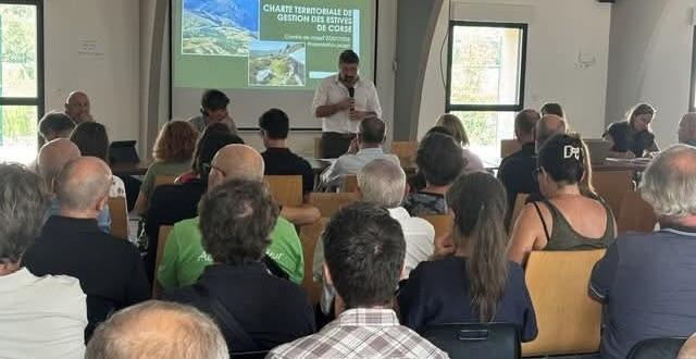 Comité de massif corse : Lutter contre la spéculation et favoriser les territoires de montagne