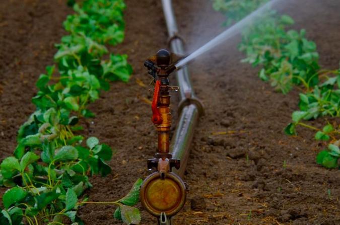 Sécheresse : De nouvelles restrictions des usages de l'eau entre en vigueur en Haute-Corse Sécheresse : De nouvelles restrictions des usages de l'eau entre en vigueur en Haute-Corse