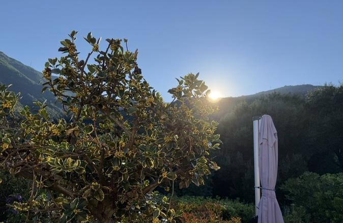U tempu in corsica