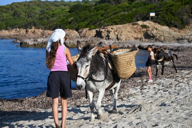 À Capo di Feno, Murone et Pepito au service de la propreté du littoral