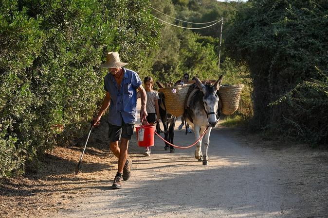 À Capo di Feno, Murone et Pepito au service de la propreté du littoral