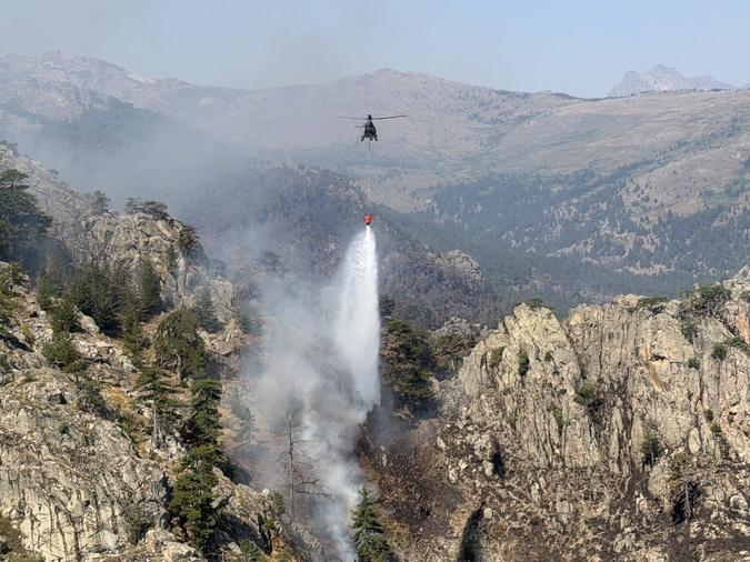 À Corte, une reprise virulente de l'incendie mobilise près de 80 sapeurs-pompiers dans le Tavignanu