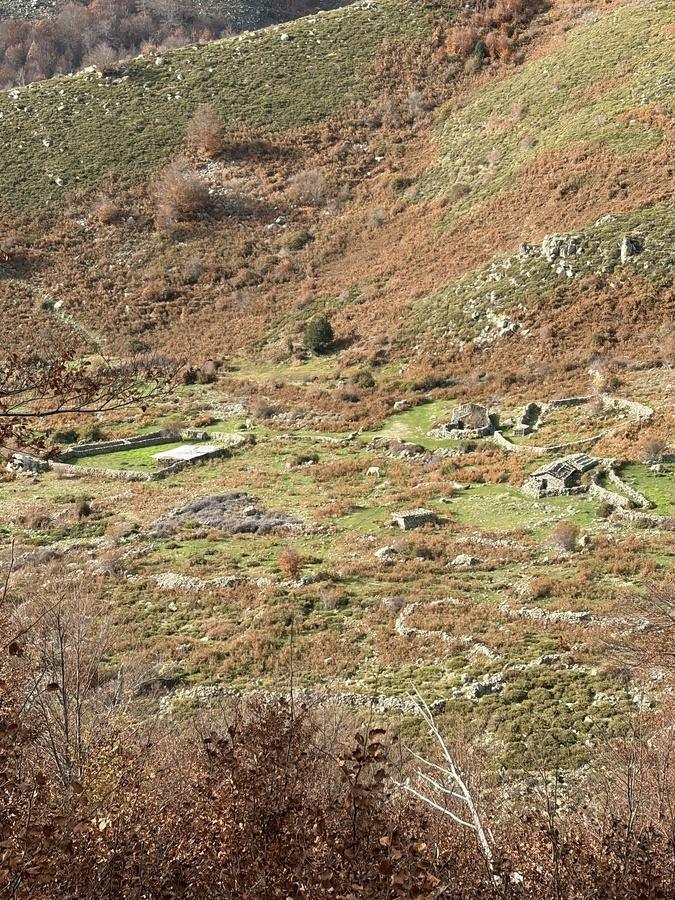 A màghjina - Induve campa a memoria di i pastori