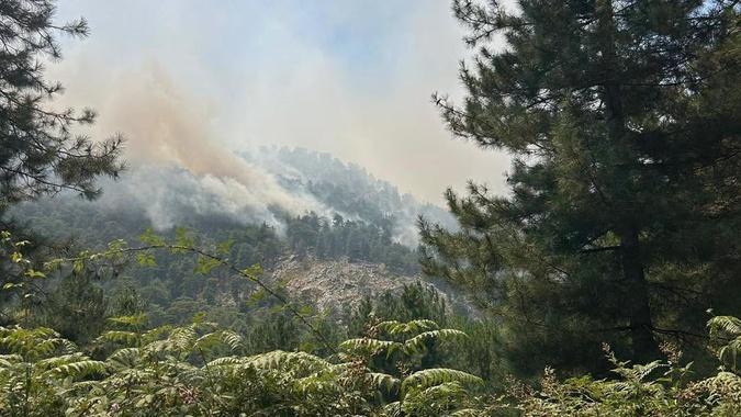 La foudre provoque de nouveaux départs de feu en Haute-Corse La foudre provoque de nouveaux départs de feu en Haute-Corse