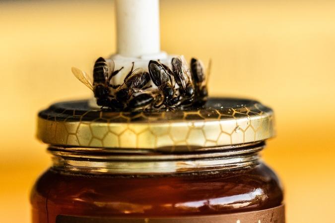 À Ocana, les abeilles au rythme d’une nature bouleversée À Ocana, les abeilles au rythme d’une nature bouleversée