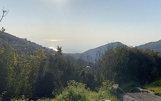 U tempu in Corsica