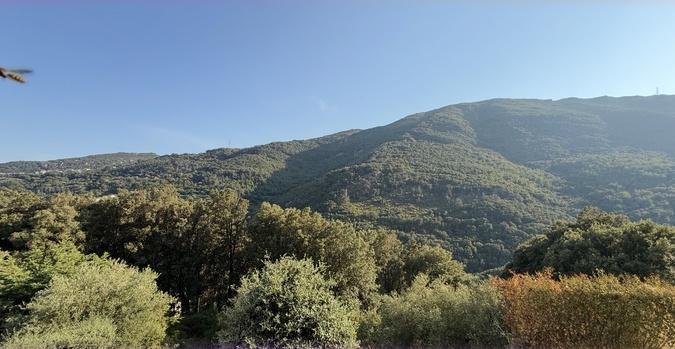 U tempu in Corsica